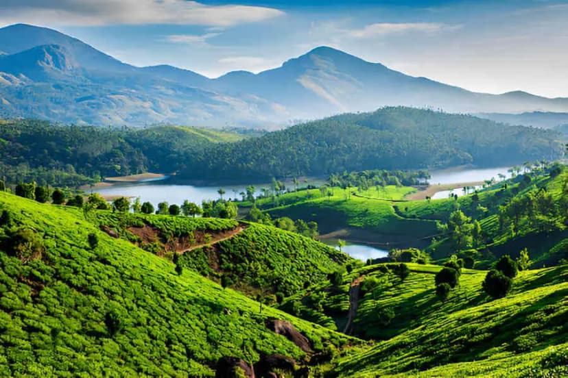 Munnar Highland Reserve